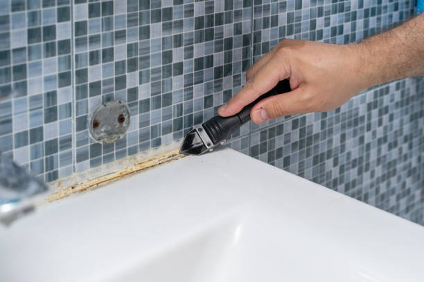 Best Black Mold Removal  in Sussex, WI