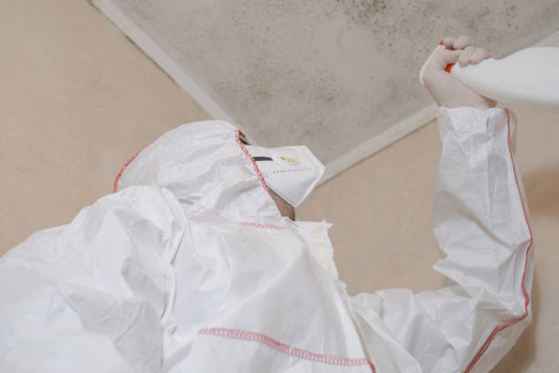 Best Mold Removal Process  in Sussex, WI